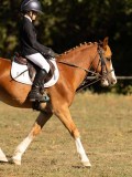 DSC05159 DSC05159