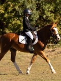 DSC05165 DSC05165