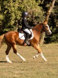 DSC05170 DSC05170