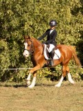 DSC05174 DSC05174
