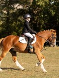 DSC05175 DSC05175