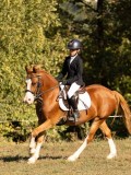 DSC05178 DSC05178