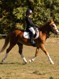 DSC05179 DSC05179