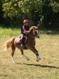 DSC06349