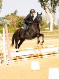 DSC08687 DSC08687