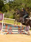 DSC08689 DSC08689