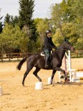 DSC08690 DSC08690