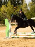 DSC08695 DSC08695