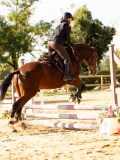 DSC08239 DSC08239
