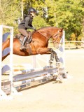 DSC08244 DSC08244