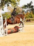 DSC08248 DSC08248