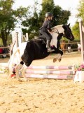 DSC07734 DSC07734