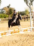 DSC07735 DSC07735