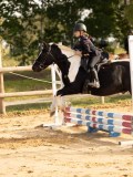 DSC07736 DSC07736