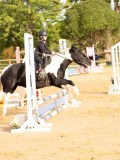 DSC07739 DSC07739