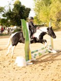 DSC07743 DSC07743