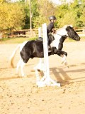DSC07745 DSC07745