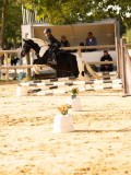 DSC07746 DSC07746