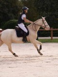 DSC00384 DSC00384