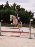 DSC00386 DSC00386