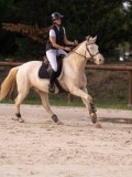 DSC00390 DSC00390