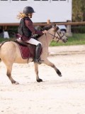 DSC06798 DSC06798