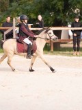 DSC06805 DSC06805