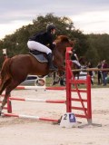 DSC00524 DSC00524