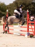 DSC08700 DSC08700