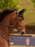 DSC03243 DSC03243