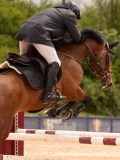 DSC03244 DSC03244
