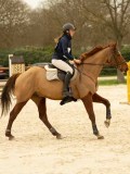 DSC07736 DSC07736