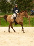 DSC07738 DSC07738