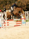 DSC07739 DSC07739