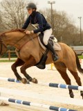 DSC07745 DSC07745