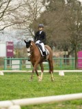 DSC08524 DSC08524