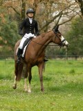 DSC08550 DSC08550
