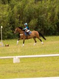 DSC08943 DSC08943