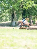 DSC07774 DSC07774