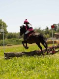 DSC01224 DSC01224