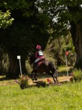 DSC01227 DSC01227