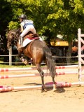 DSC09599 DSC09599