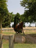 DSC00442