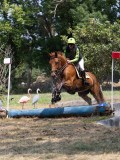 IMG_7006