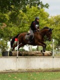 MAX03201