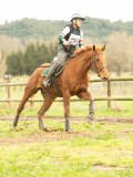 DSC06658 DSC06658