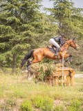 IMG_9781 IMG_9781