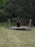 IMG_3729 IMG_3729