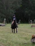 IMG_3730 IMG_3730