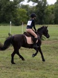 IMG_3736 IMG_3736